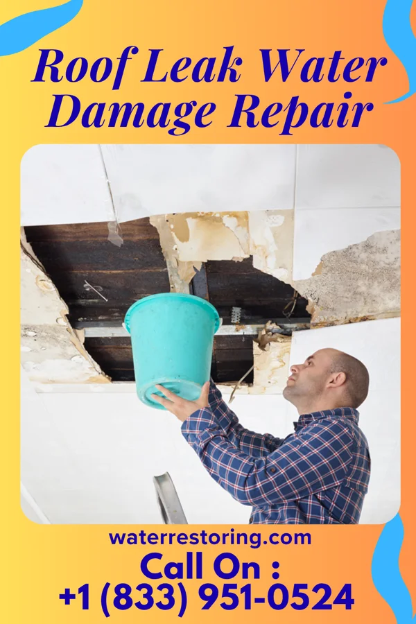 Roof Leak Water Damage Repair in Jamaica Beach, TX